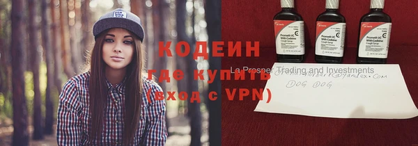 хмурый Арсеньев