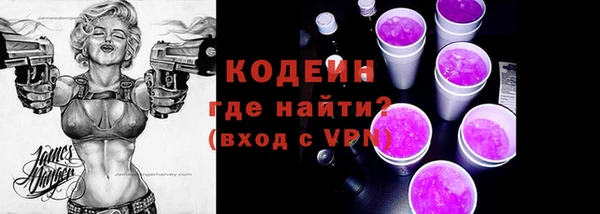 хмурый Арсеньев