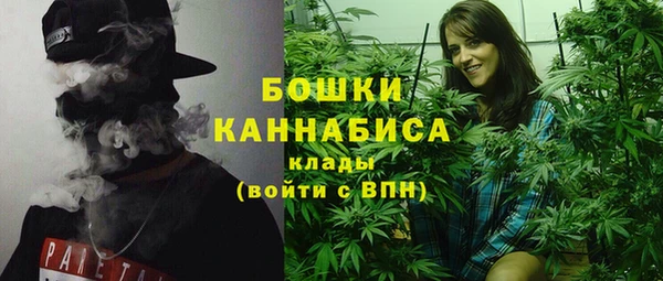 хмурый Арсеньев
