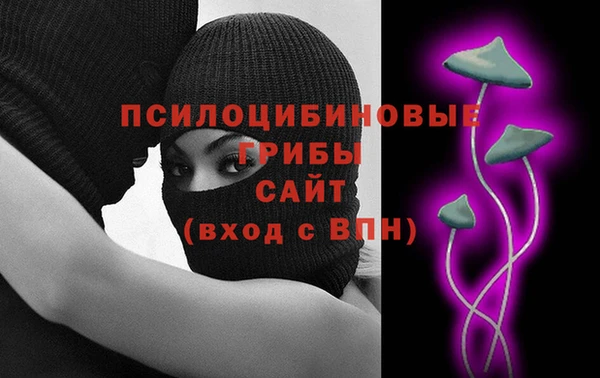 хмурый Арсеньев