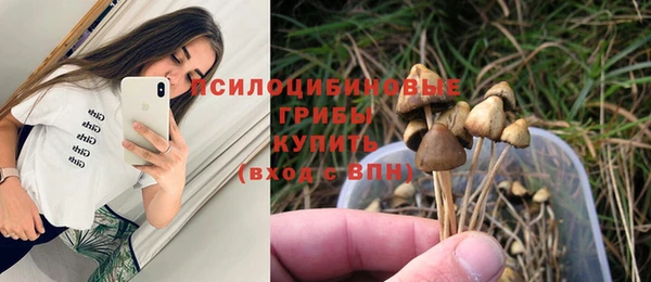 MDMA Premium VHQ Аркадак