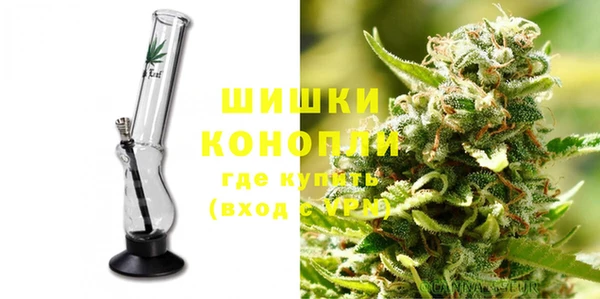 хмурый Арсеньев