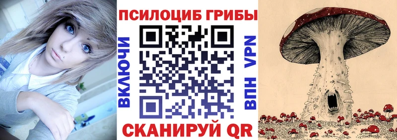 купить  сайты  Чайковский  Галлюциногенные грибы мицелий 